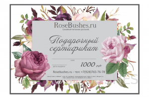 ���������� ���������� �� 1000�